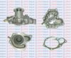 AQUAPLUS 85-4140 Water Pump